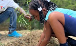 RESTAURACIÓN ECOLÓGICA Y EQUIDAD EN HAITÍ: REFORESTACIÓN EN CAZALE