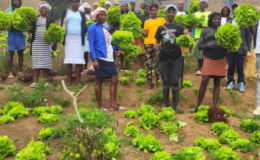 FORTALECIENDO LA SEGURIDAD ALIMENTARIA EN LA FRONTERA ENTRE HAITÍ Y REPÚBLICA DOMINICANA: UN MODELO DE INTERVENCIÓN PARTICIPATIVA