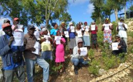 420 FAMILIAS FORTALECEN SU SOBERANÍA ALIMENTARIA EN LA FRONTERA ENTRE HAITÍ Y REPÚBLICA DOMINICANA 420 FAMILIAS FORTALECEN SU SOBERANÍA ALIMENTARIA EN LA FRONTERA ENTRE HAITÍ Y REPÚBLICA DOMINICANA